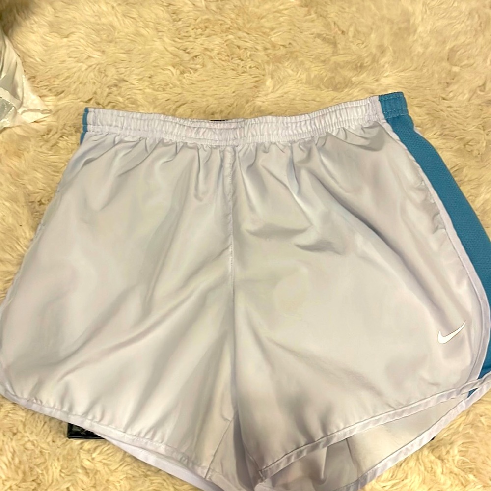 Nike Dry Fit Shorts